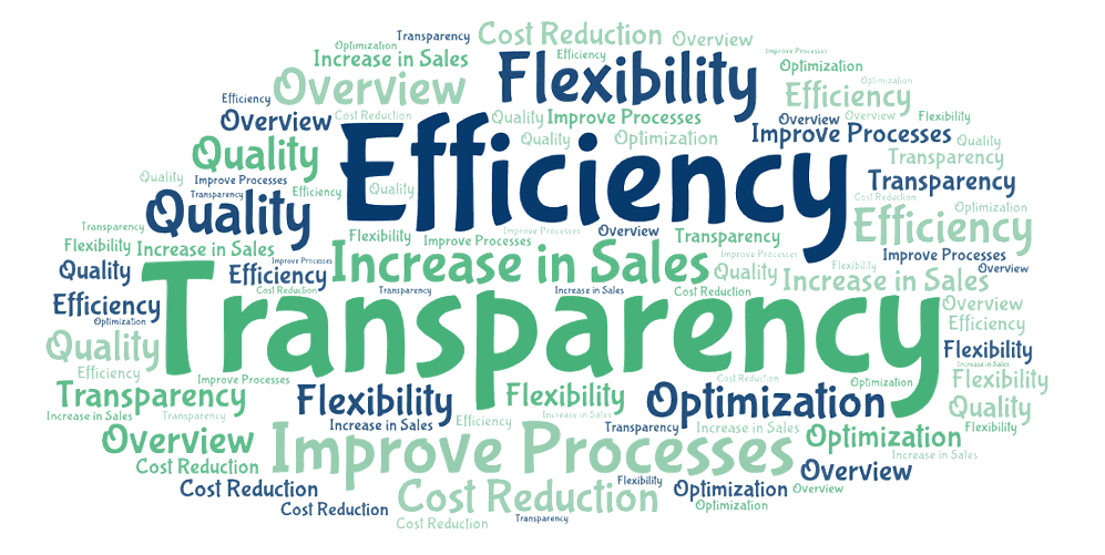 Bpanda process management reasons for implementation