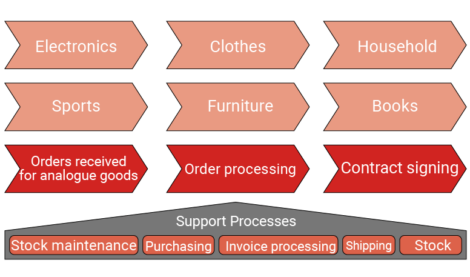 Bpanda Process Management Level 1 Business Processes aMIDzon